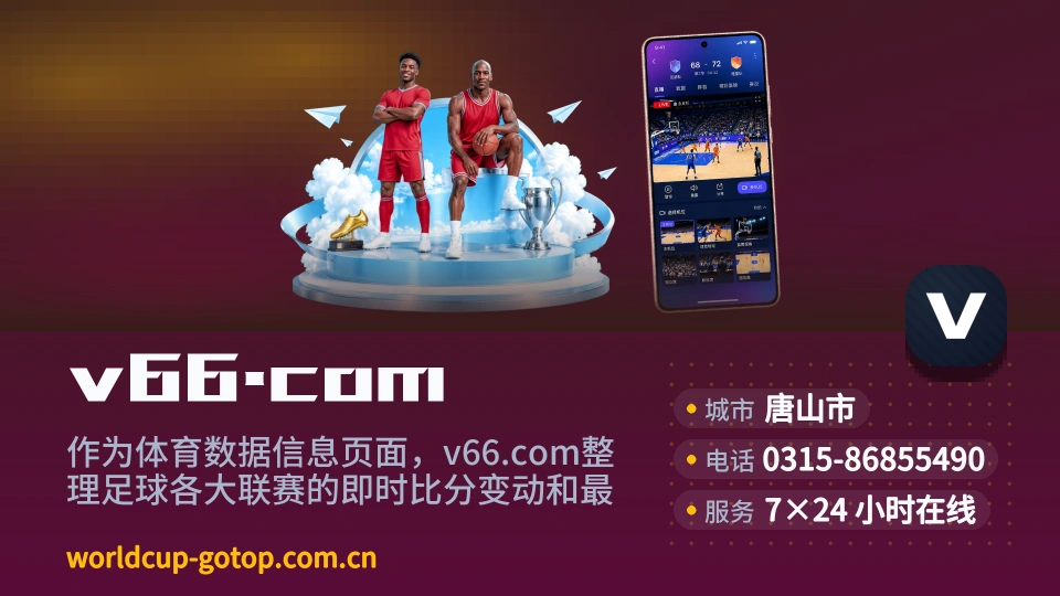 关于v66.com
